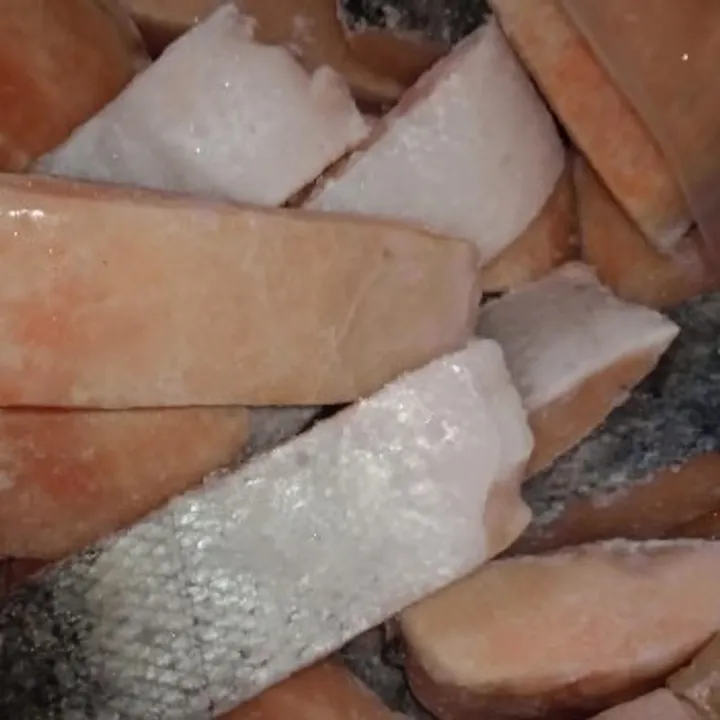 Salmão Porcionado — foto real do produto